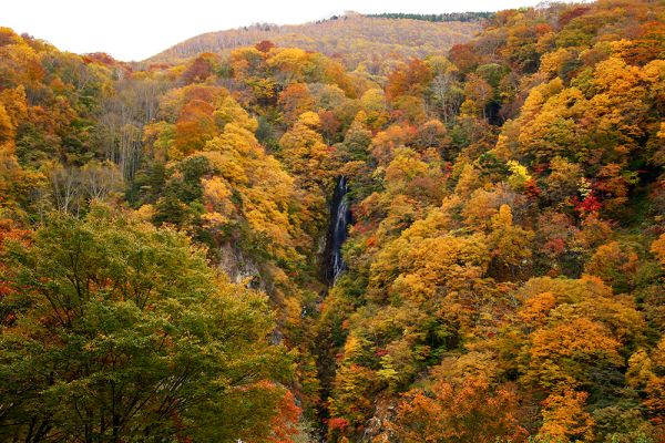 松川渓谷「八滝」の紅葉が見頃です。