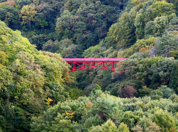 本日の山田温泉紅葉具合です。