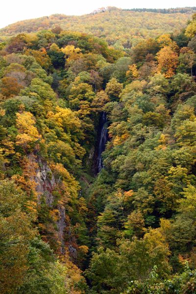 松川渓谷「八滝」「高井橋」の紅葉状況