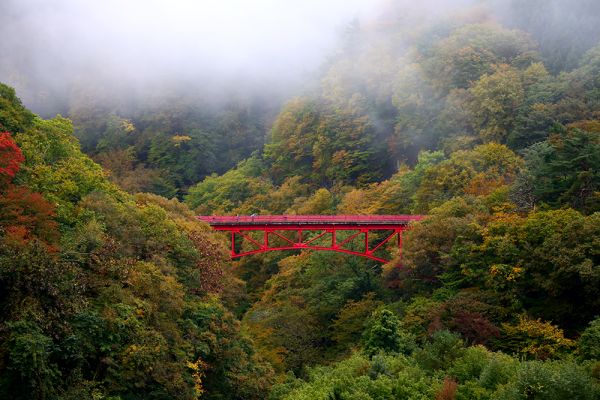 2024年10月24日の松川渓谷「高井橋」の紅葉