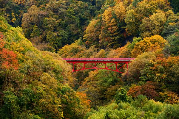 10月28日松川渓谷「高井橋」の紅葉状況