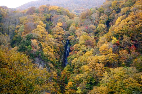 山田温泉山田館