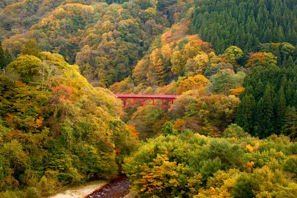 山田温泉山田館