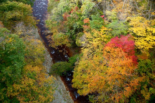 11月4日松川渓谷紅葉情報