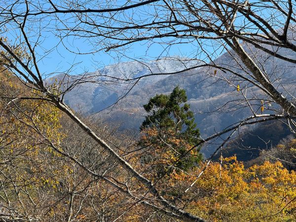 万座温泉方面の山には初雪が降りました。