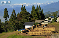 信州高山村観光協会